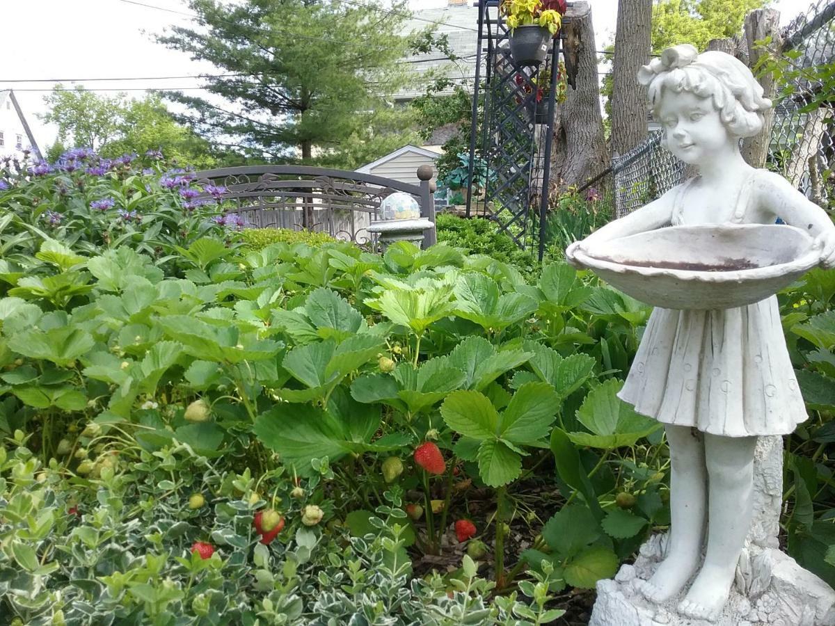 Hanover House Bed And Breakfast ไนแอการาฟอลส์ ภายนอก รูปภาพ